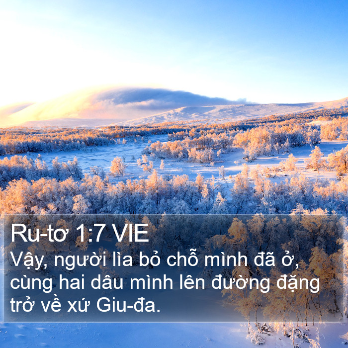 Ru-tơ 1:7 VIE Bible Study