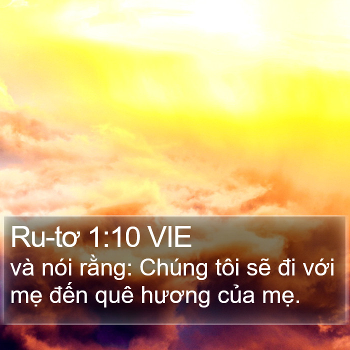 Ru-tơ 1:10 VIE Bible Study