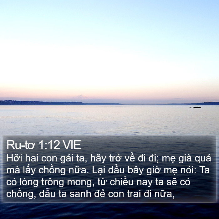 Ru-tơ 1:12 VIE Bible Study