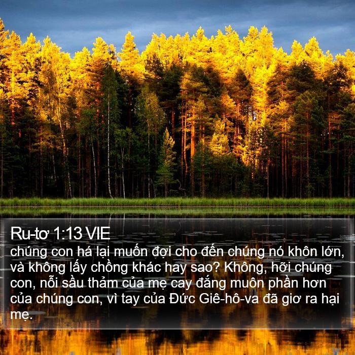 Ru-tơ 1:13 VIE Bible Study