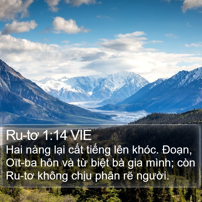 Ru-tơ 1:14 VIE Bible Study