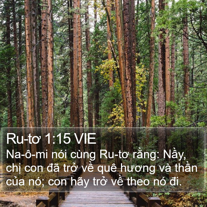 Ru-tơ 1:15 VIE Bible Study