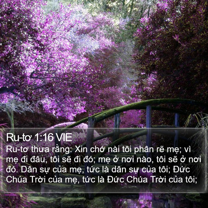 Ru-tơ 1:16 VIE Bible Study