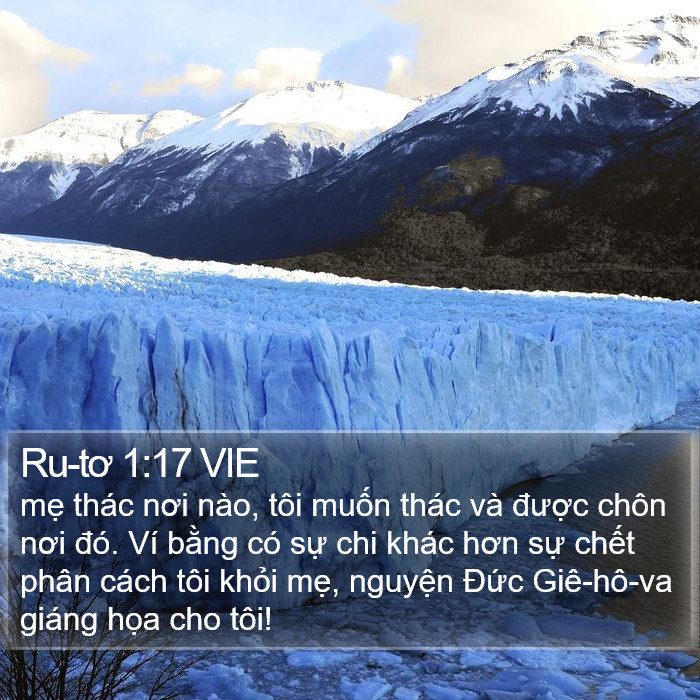 Ru-tơ 1:17 VIE Bible Study