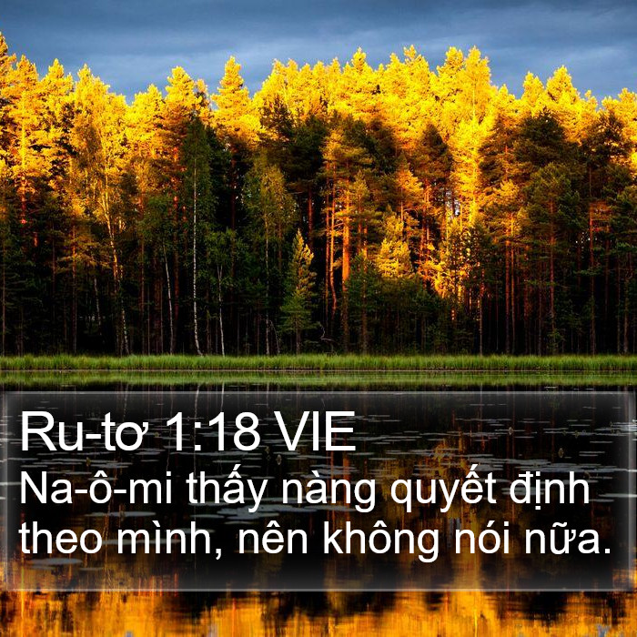 Ru-tơ 1:18 VIE Bible Study