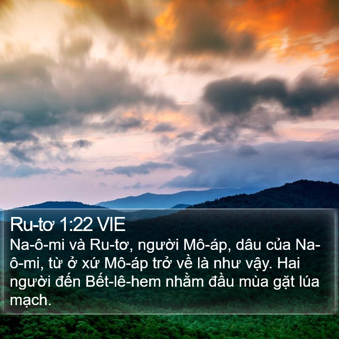 Ru-tơ 1:22 VIE Bible Study