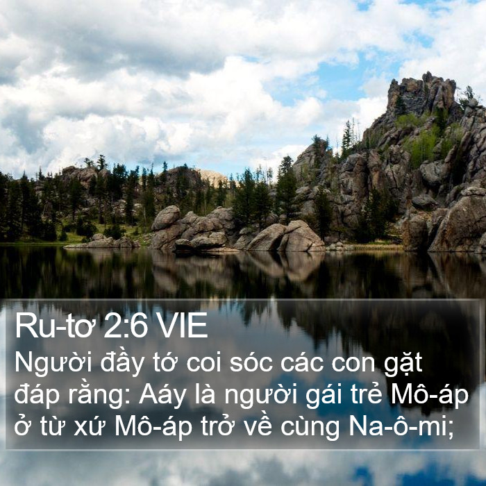 Ru-tơ 2:6 VIE Bible Study