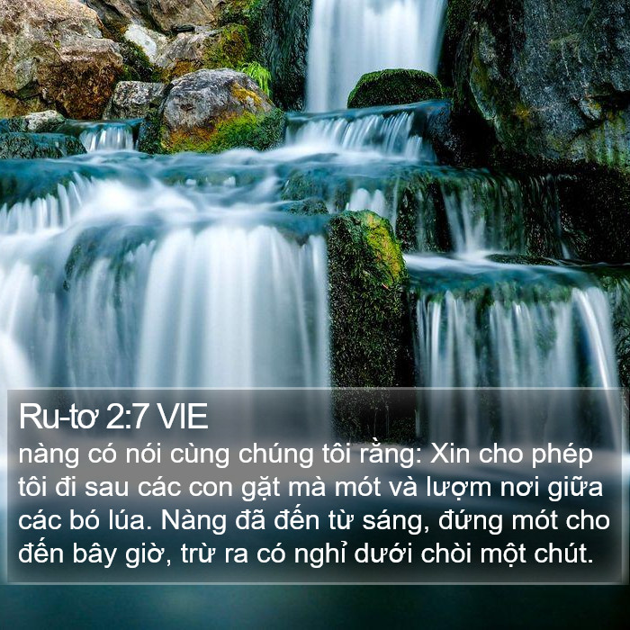 Ru-tơ 2:7 VIE Bible Study