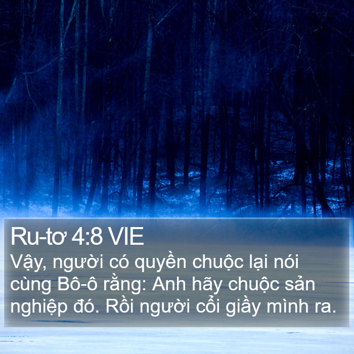 Ru-tơ 4:8 VIE Bible Study