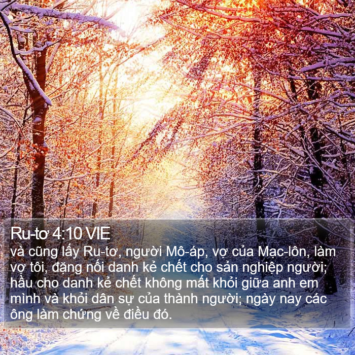 Ru-tơ 4:10 VIE Bible Study