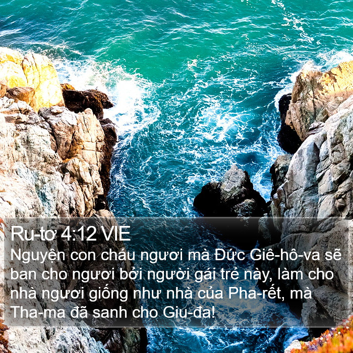 Ru-tơ 4:12 VIE Bible Study