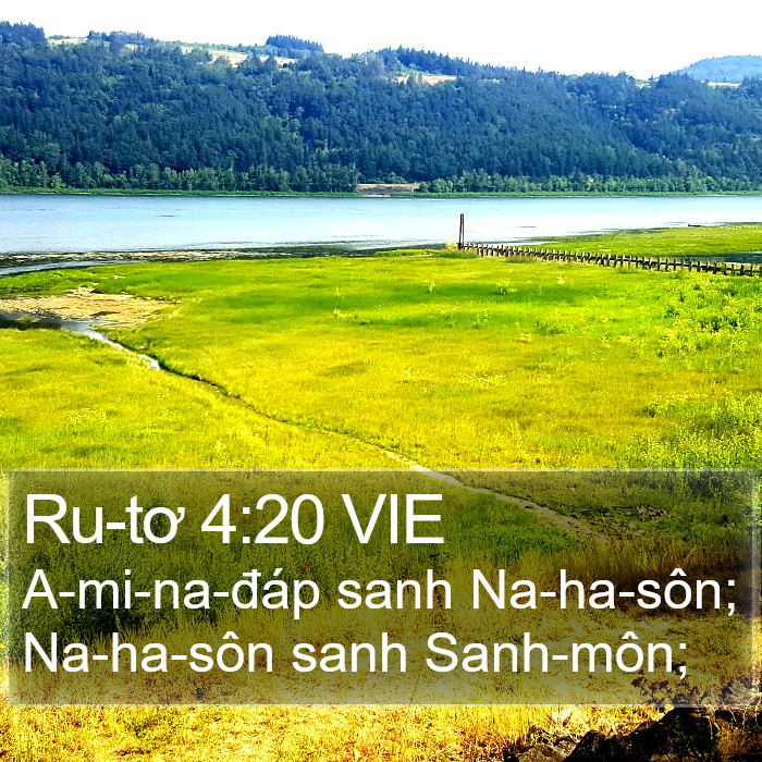 Ru-tơ 4:20 VIE Bible Study