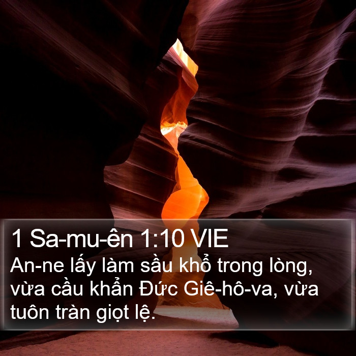 1 Sa-mu-ên 1:10 VIE Bible Study