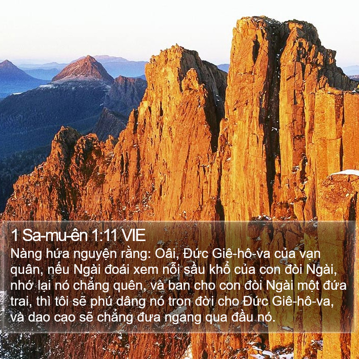 1 Sa-mu-ên 1:11 VIE Bible Study