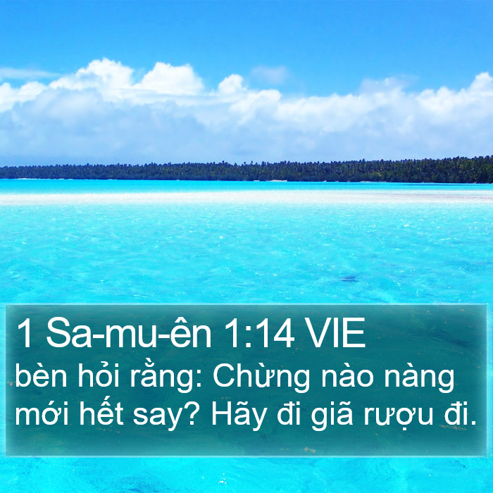 1 Sa-mu-ên 1:14 VIE Bible Study