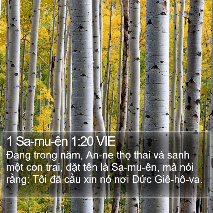 1 Sa-mu-ên 1:20 VIE Bible Study