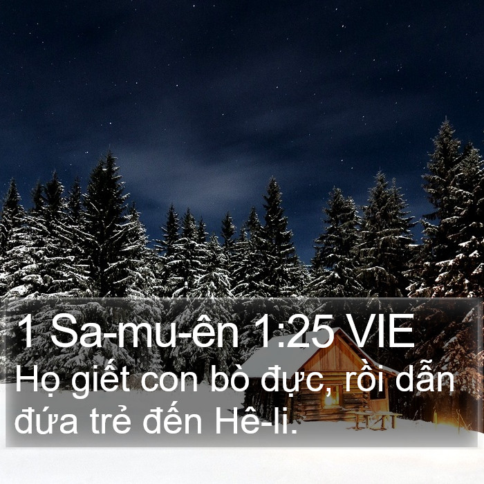 1 Sa-mu-ên 1:25 VIE Bible Study