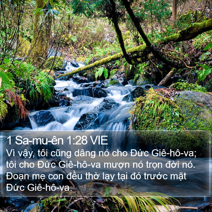 1 Sa-mu-ên 1:28 VIE Bible Study