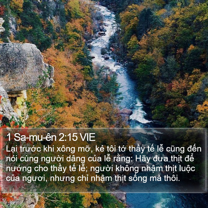 1 Sa-mu-ên 2:15 VIE Bible Study