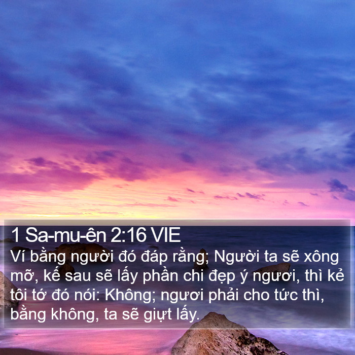 1 Sa-mu-ên 2:16 VIE Bible Study