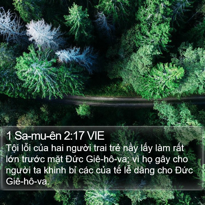 1 Sa-mu-ên 2:17 VIE Bible Study