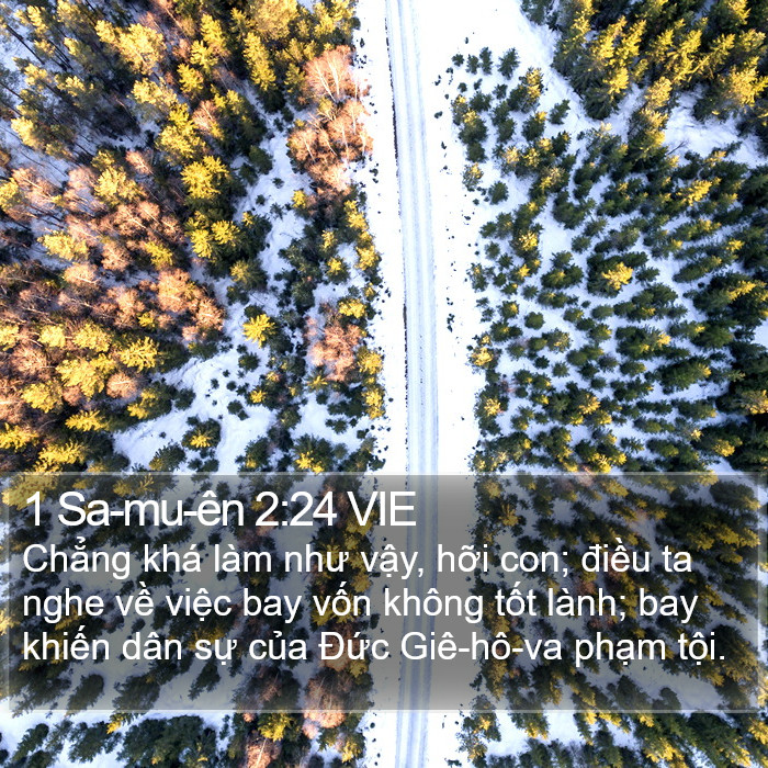 1 Sa-mu-ên 2:24 VIE Bible Study