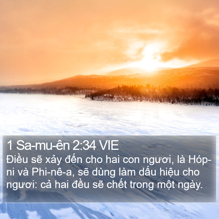 1 Sa-mu-ên 2:34 VIE Bible Study