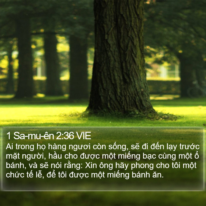1 Sa-mu-ên 2:36 VIE Bible Study
