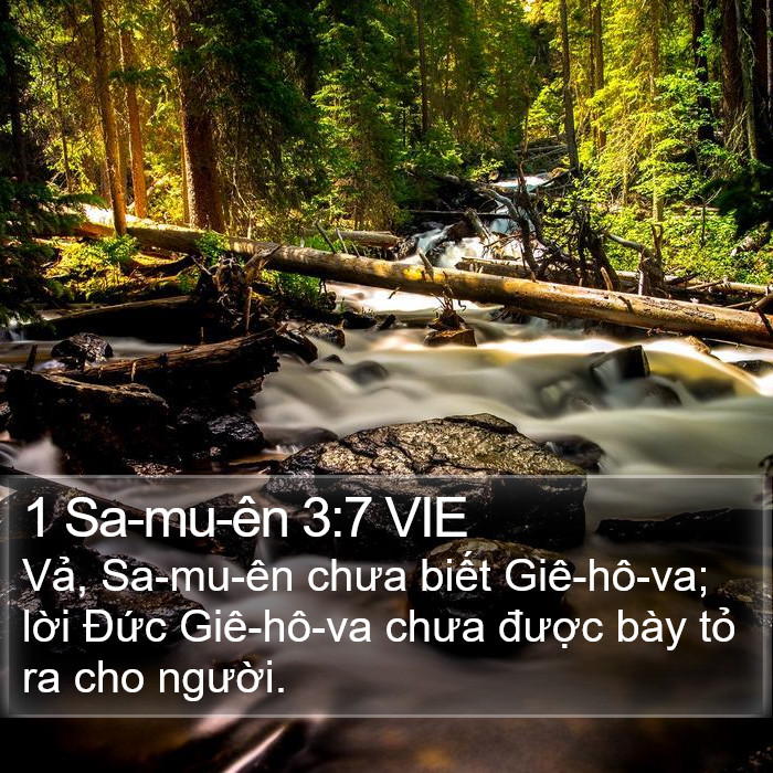 1 Sa-mu-ên 3:7 VIE Bible Study