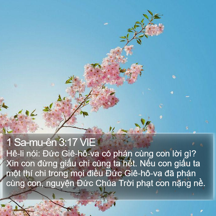 1 Sa-mu-ên 3:17 VIE Bible Study