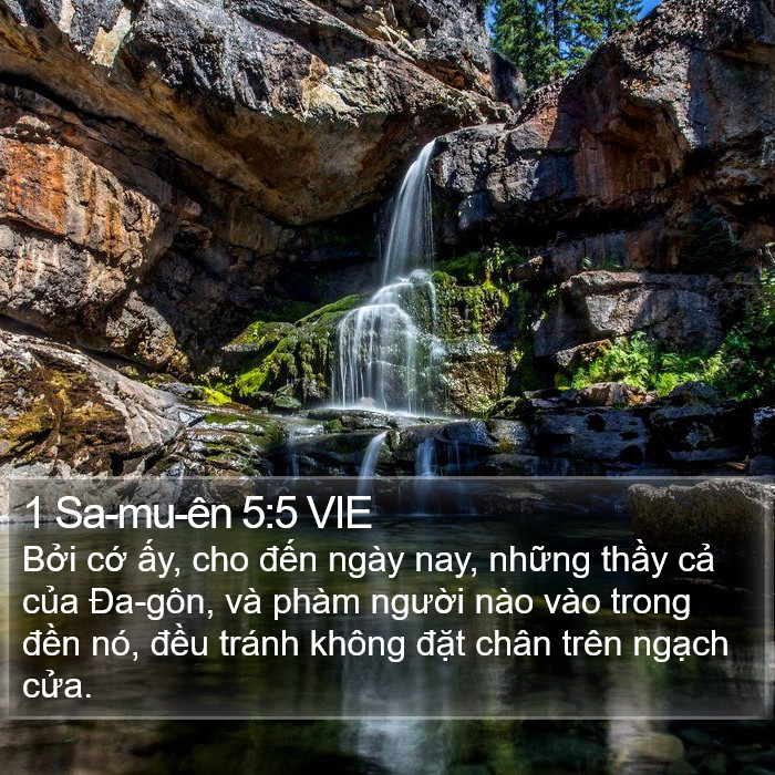 1 Sa-mu-ên 5:5 VIE Bible Study