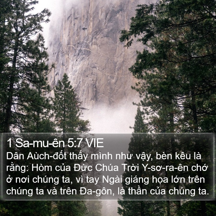 1 Sa-mu-ên 5:7 VIE Bible Study