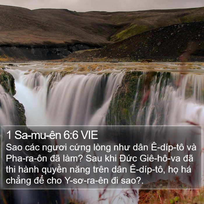 1 Sa-mu-ên 6:6 VIE Bible Study