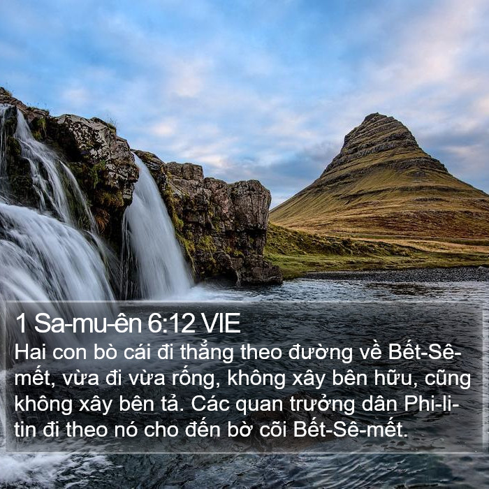 1 Sa-mu-ên 6:12 VIE Bible Study