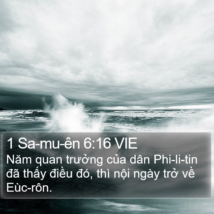 1 Sa-mu-ên 6:16 VIE Bible Study