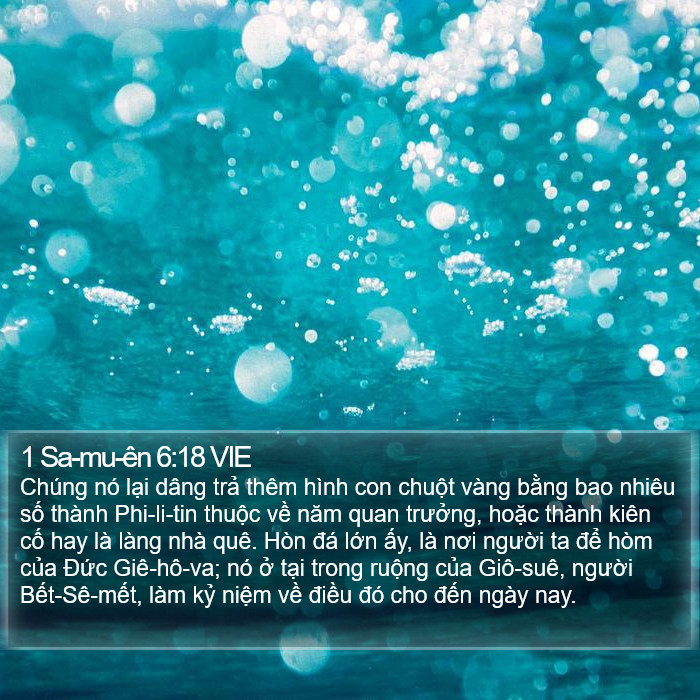 1 Sa-mu-ên 6:18 VIE Bible Study