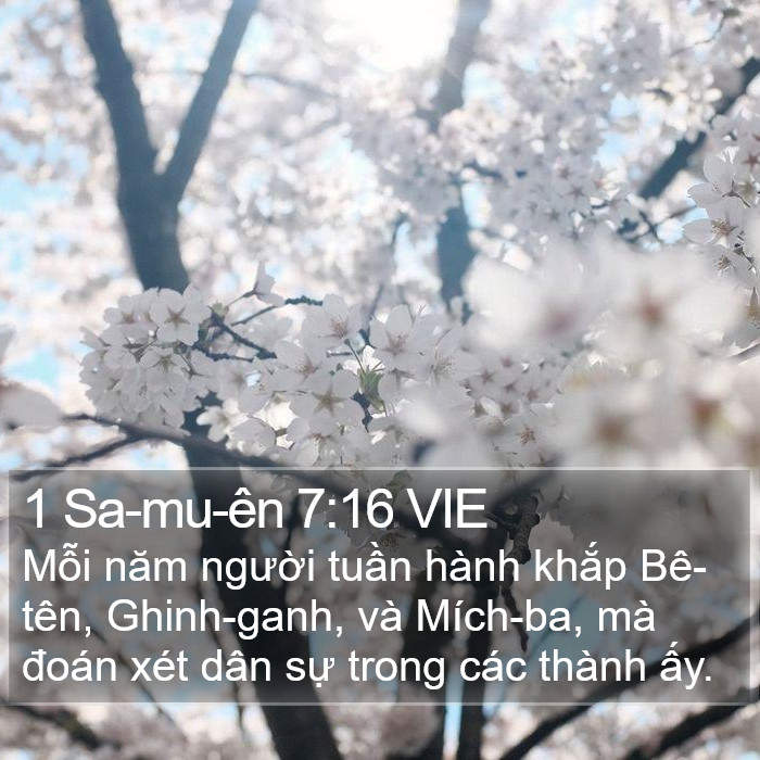 1 Sa-mu-ên 7:16 VIE Bible Study