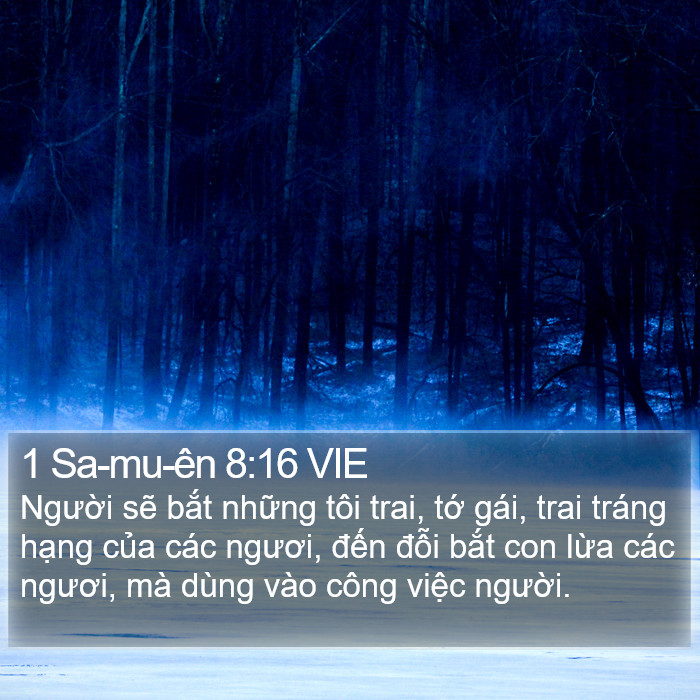 1 Sa-mu-ên 8:16 VIE Bible Study