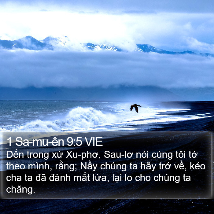 1 Sa-mu-ên 9:5 VIE Bible Study
