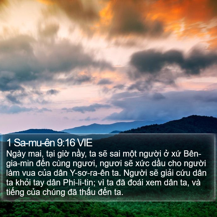 1 Sa-mu-ên 9:16 VIE Bible Study