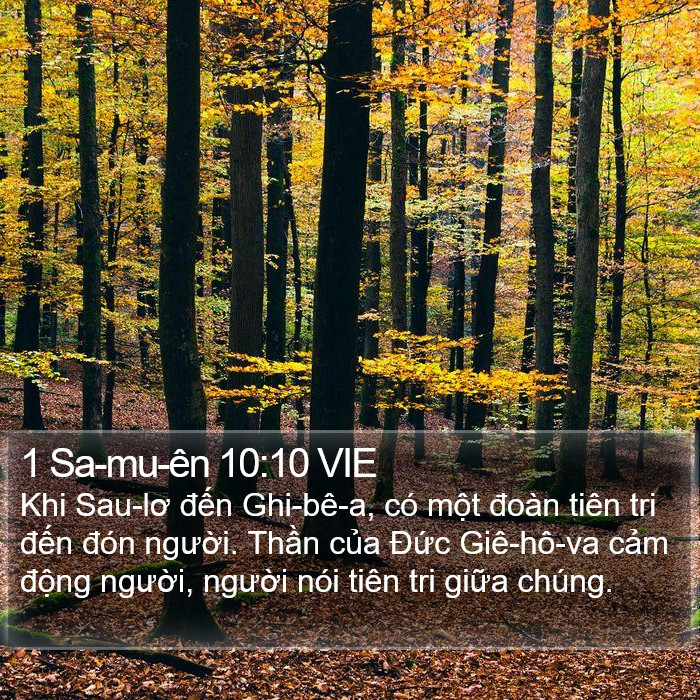 1 Sa-mu-ên 10:10 VIE Bible Study