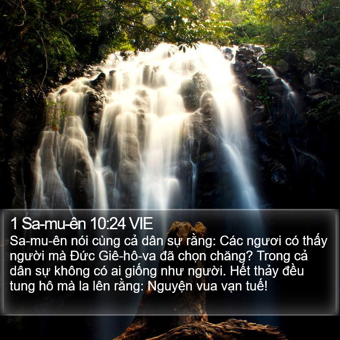 1 Sa-mu-ên 10:24 VIE Bible Study