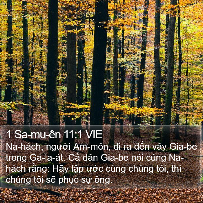 1 Sa-mu-ên 11:1 VIE Bible Study