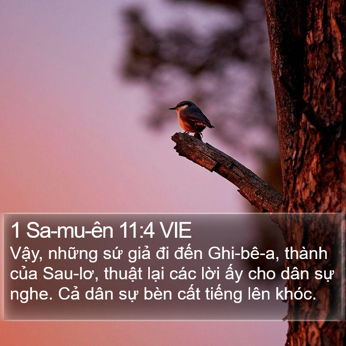 1 Sa-mu-ên 11:4 VIE Bible Study