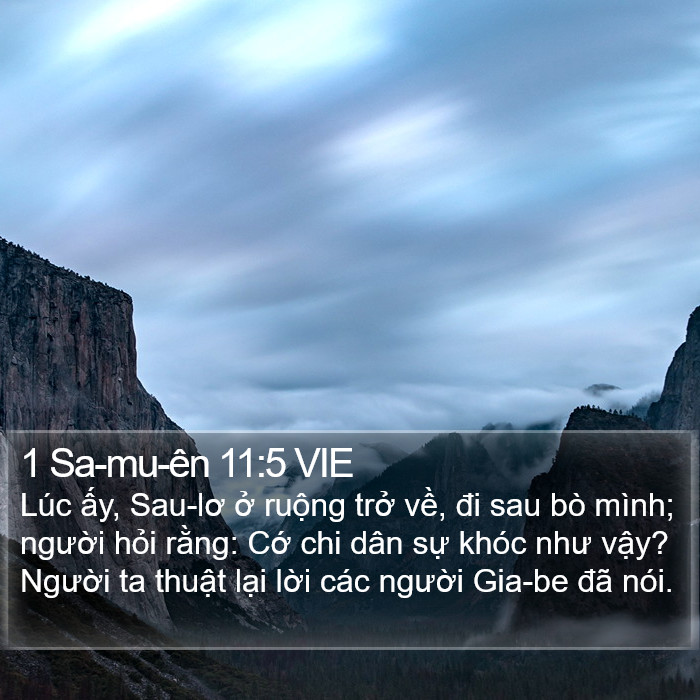 1 Sa-mu-ên 11:5 VIE Bible Study