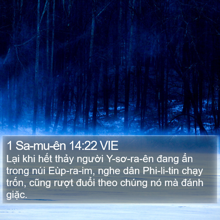 1 Sa-mu-ên 14:22 VIE Bible Study