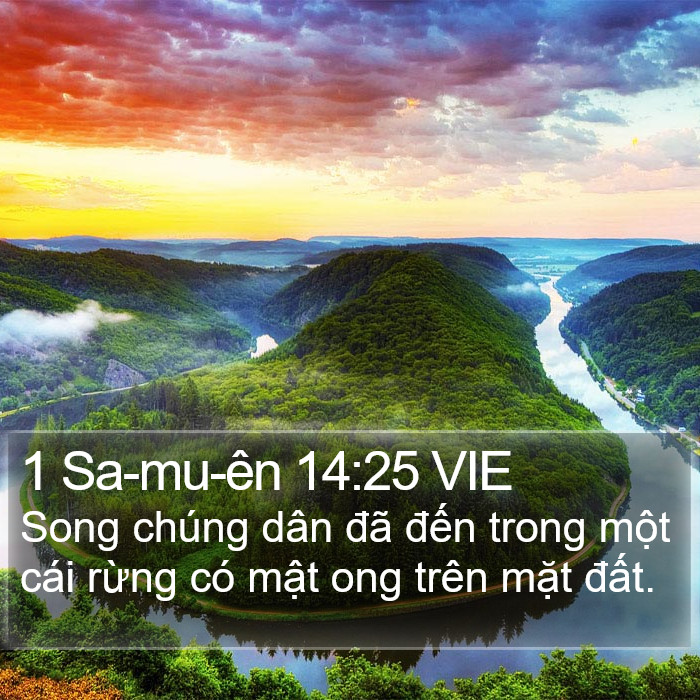 1 Sa-mu-ên 14:25 VIE Bible Study