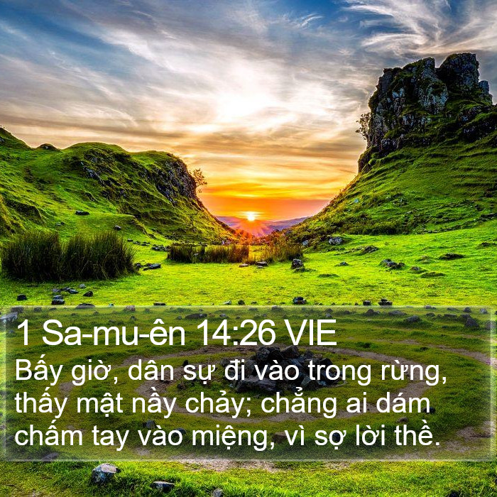 1 Sa-mu-ên 14:26 VIE Bible Study