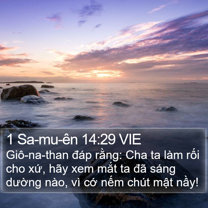 1 Sa-mu-ên 14:29 VIE Bible Study