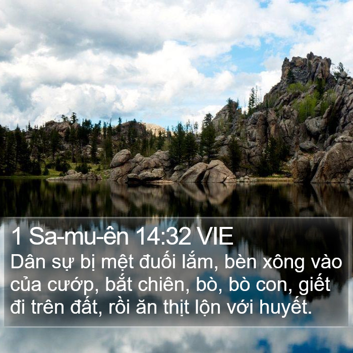 1 Sa-mu-ên 14:32 VIE Bible Study